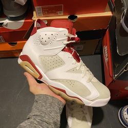 Jordan Alternate Hare 6s size 11 USED But Clean