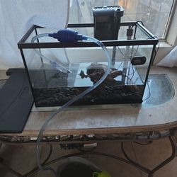 Fish Tank And Extra 