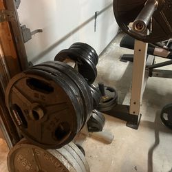Olympic Weight set/gym set a lot of weights