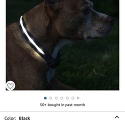 LED Rechargeable Dog Collar Black Sz Small