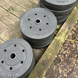 Weights 200lb