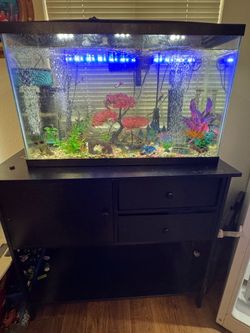 Three fish tank