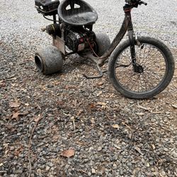 Custom Trike