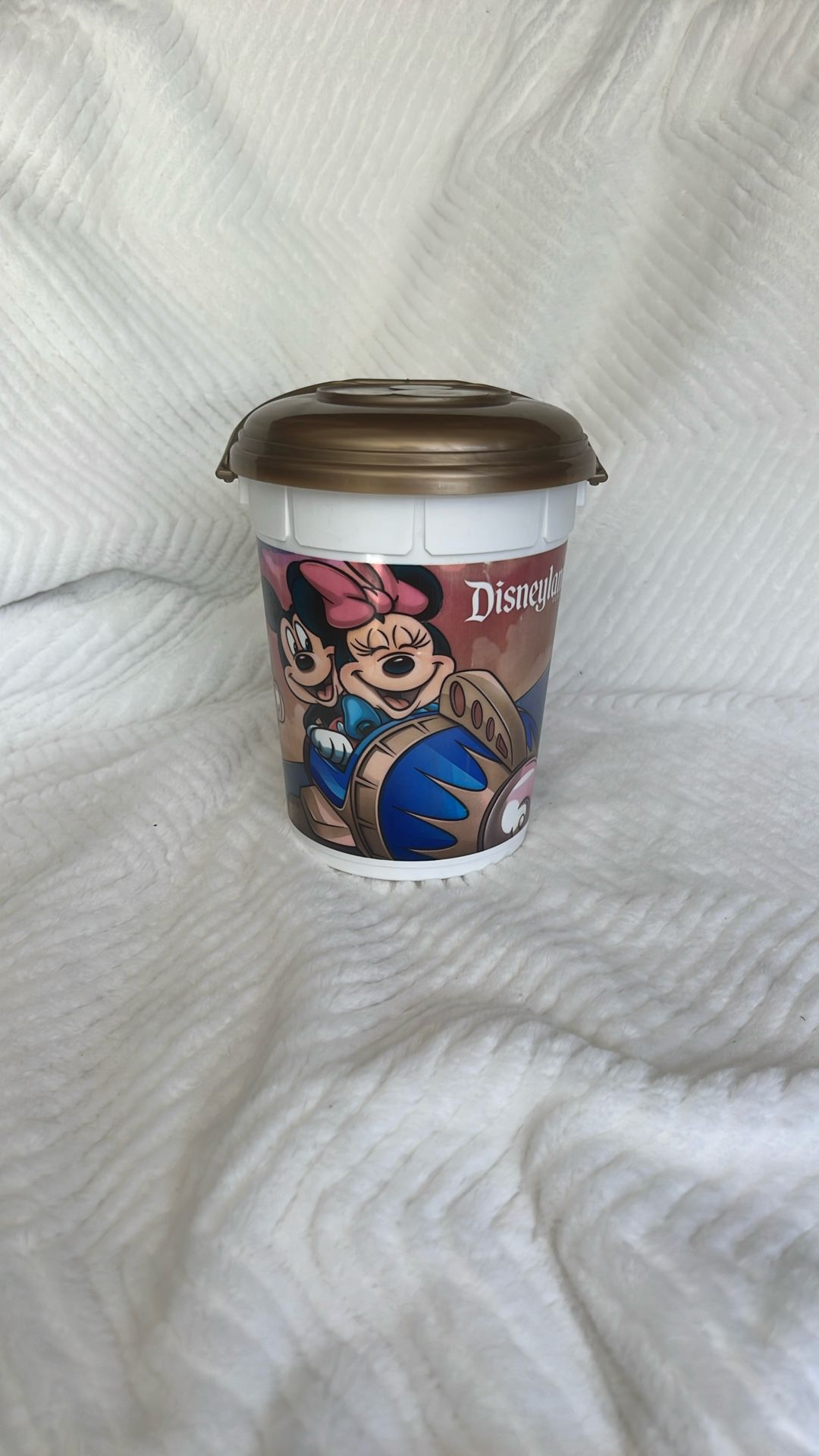 Disney Popcorn Bucket