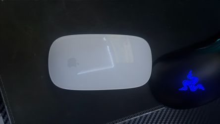 Apple mouse