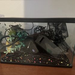 5 Gallon Fish Tank