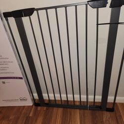 Steel Pet Gate