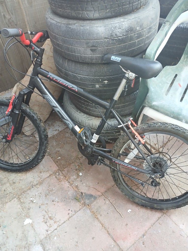 Kids Cobra