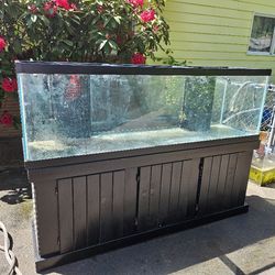 125 Gal With Stand