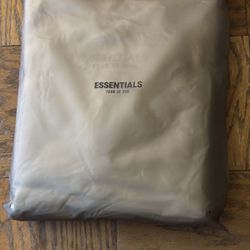 Essentials Hoodie. Brand New With Bag And Tags