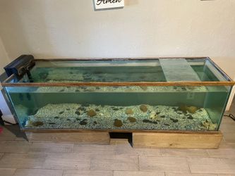 Moving Sale Everything Cheap