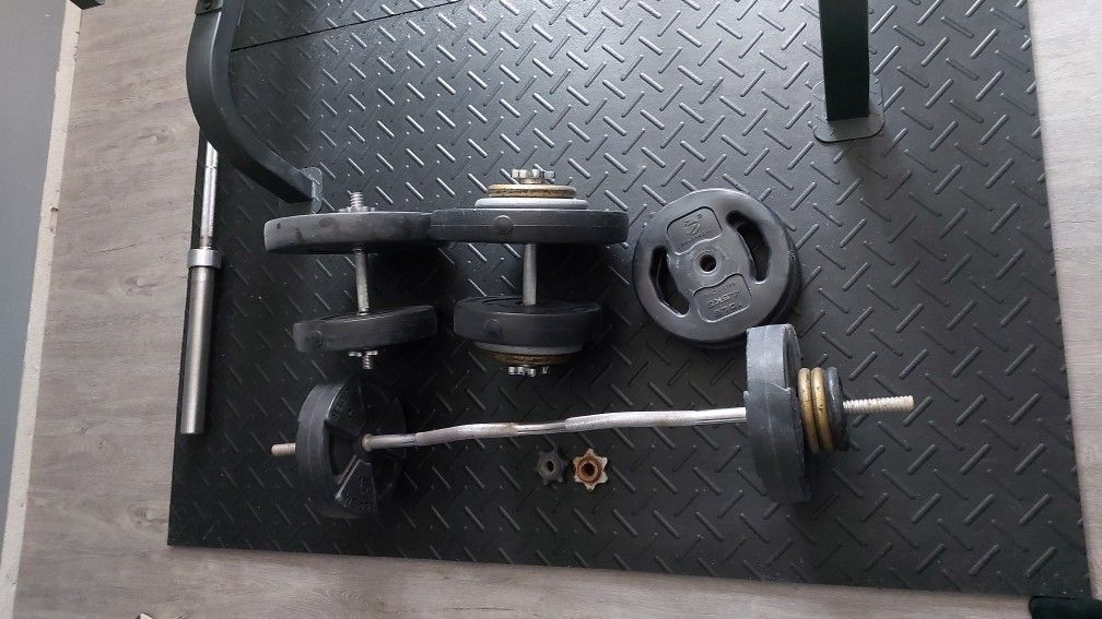 Curl Bar + Dubbells + 178lbs