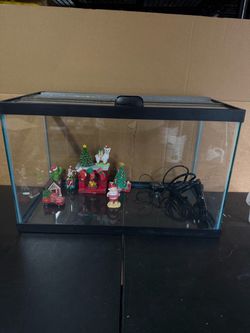 10 gallon tank