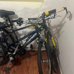 Bicicletas Diamond Back y Mountain Track 