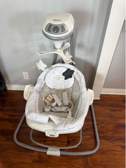 Graco Baby Swing and Bouncer