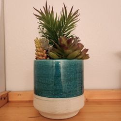 Faux Succulent Plant