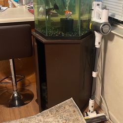 Fish Tank With Everything 
