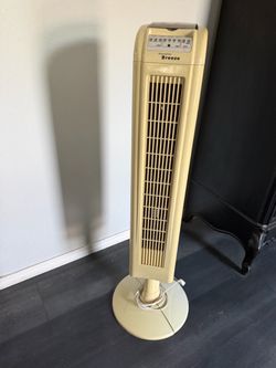 Fan