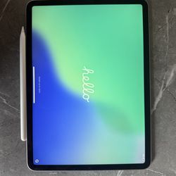 iPad Pro 11-inch (4th Gen)
