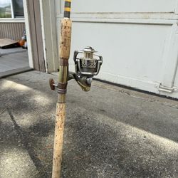 Eagle claw Spinning rod and reel
