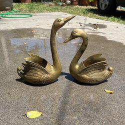 Brass Swans BOTH 