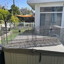 Rabbit, Bird Et Al Cage
