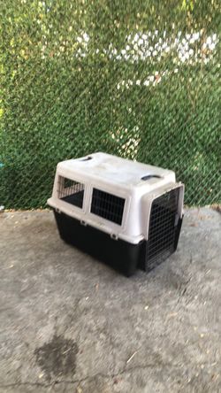 Dog kennel crate