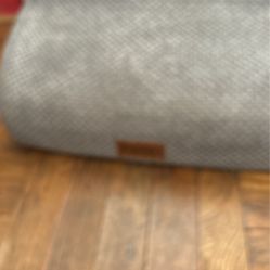 Brand New Pet Steps