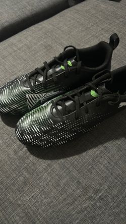 Tacos puma