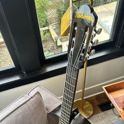 Parlour Acoustic Guitar- Dark Brown/ Black