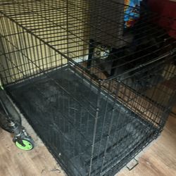 Huge Dog Cage 