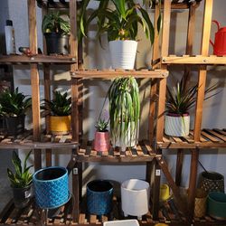 Plant Stand With Vases And Plants