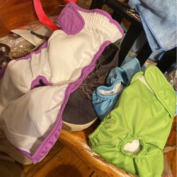 3 New Dog  Washable Diapers 