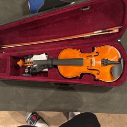 Novice Beginner Violin