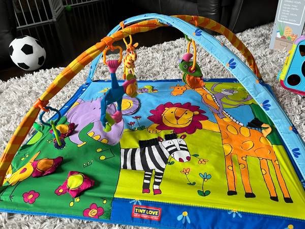 Tiny Love Play Gym