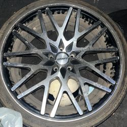 Tire Rims