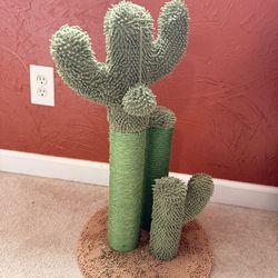 Cactus cat scratching 3 post