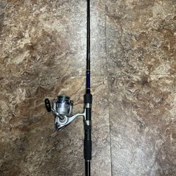 Fishing Combo . Rod And Reel Set up In excellent Condition 