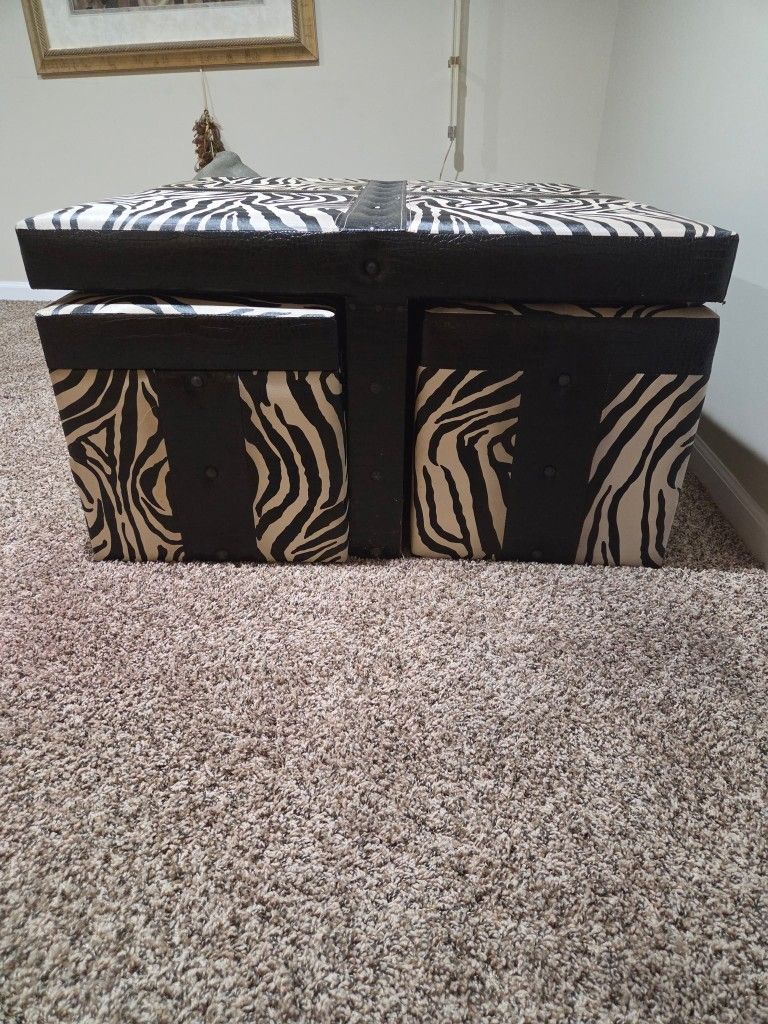 Zebra Seating & Storage Unit