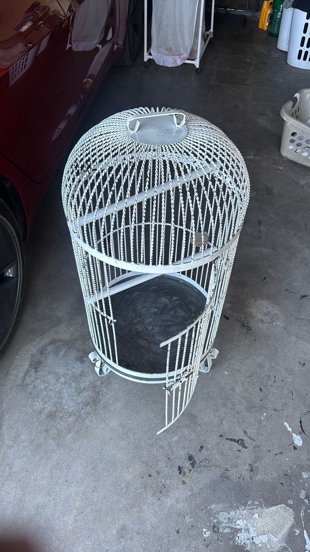 Bird Cage 
