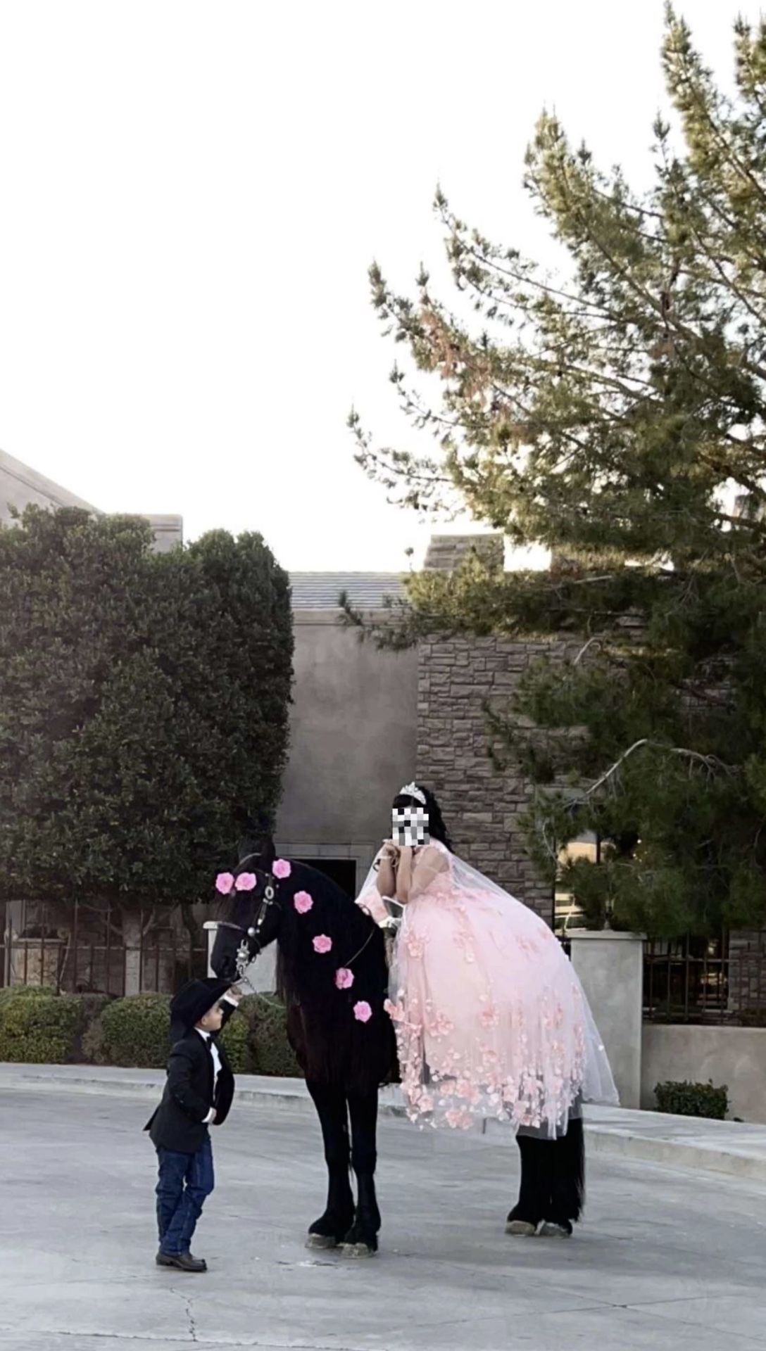 Quinceañera Dress/ Vestido De Quinceañera