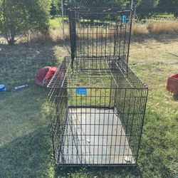 Dog Cage