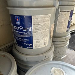 New Paint 