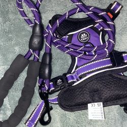 Purple no pull Dog Harness and Leash Set XS