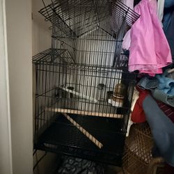 Bird Cage 