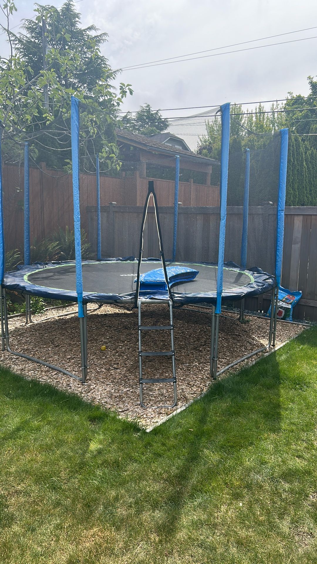 Trampoline