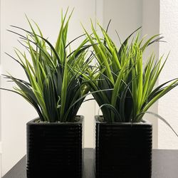 Decorative Faux Plants 