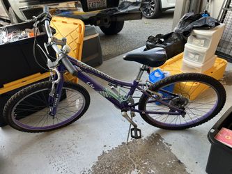 24” Enchant liv Bike EXCELLENT Shape