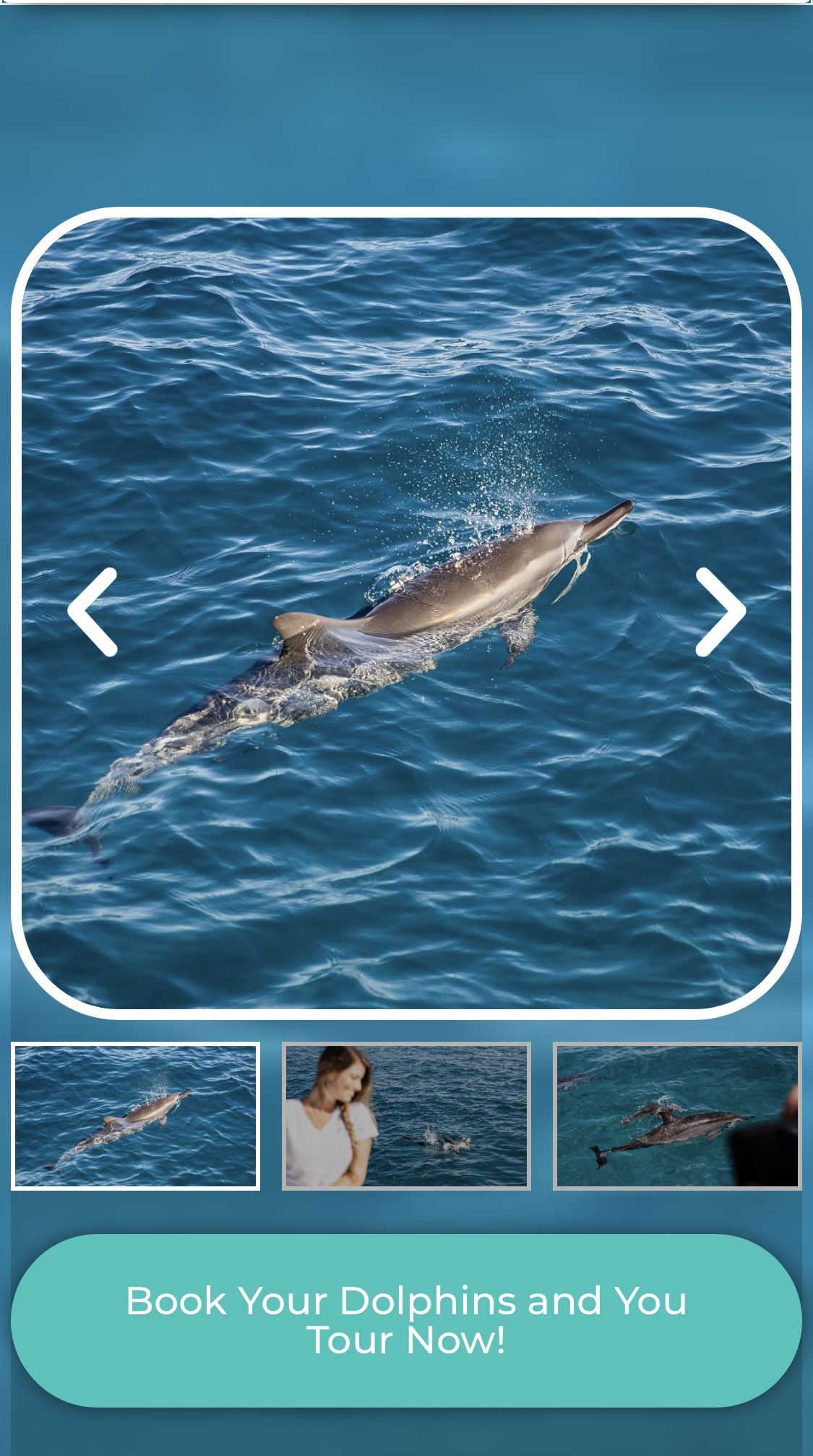 Two tickets to Dolphins and You adventure trip in Waianae, Hawaii for Labor day weekend 2023 - 22% off