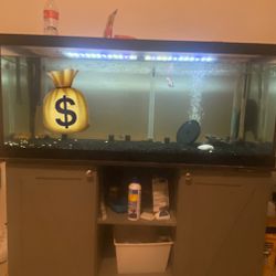 70gallon Fish Tank 
